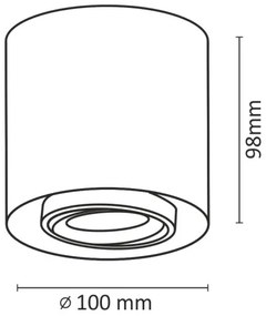 LED Bodové svietidlo XENO LED/15W/230V biela 1200lm