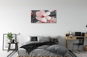 Obraz canvas ružové kvety 120x60 cm