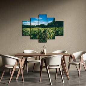Obraz lúky a lesa (150x105 cm)