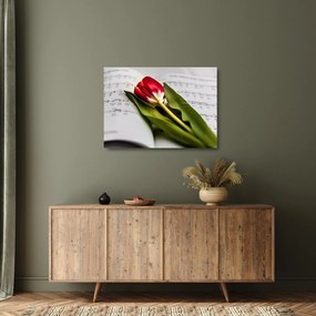 Sklenený obraz červeného tulipánu (70x50 cm)