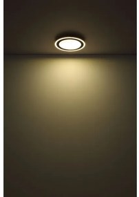 Globo 48902 - LED Stropné svietidlo DAVIES LED/24W/230V