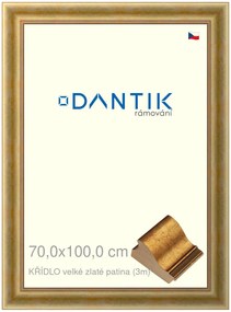 DANTIK rám na obraz 70x100 | KŘÍDLO velké zlaté patina (Plexi Čiré)