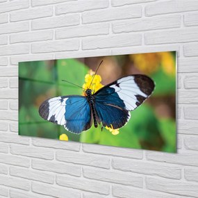 Sklenený obraz Farebný motýľ na kvety 140x70 cm