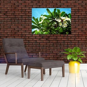 Obraz - Plumeria (90x60 cm)