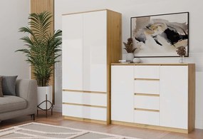 Komoda Malwa 2D4S 120 cm dub artisan/bílá