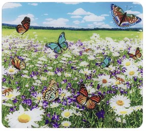 Kryt na stenu pri sporáku z tvrdeného skla 50x56 cm – Maximex