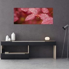 Obraz - Makro snímka lístka (120x50 cm)