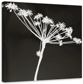 Obraz na plátně Květina Černobílá příroda - 60x60 cm