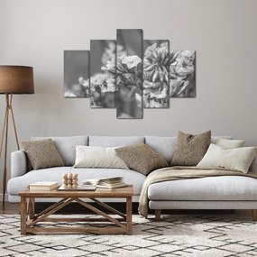 Obraz - Sušené kvety (150x105 cm)
