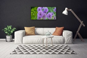 Obraz Canvas Fialové kvety lúka 120x60 cm