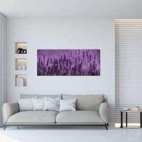Obraz - Levanduľa (120x50 cm)