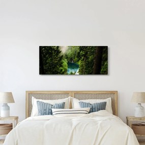 Obraz - Priezor medzi stromami (120x50 cm)
