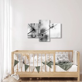 Obraz - Čiernobiele kvety (90x60 cm)