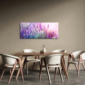Obraz - Levanduľa vo trblietania slnka (120x50 cm)