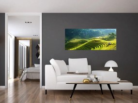 Obraz - Koncert ryžových terás (120x50 cm)