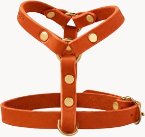 Kožený postroj pre psa Y-Harness, rôzne veľkosti