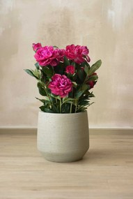 Dizajnový kvetináč SASSO, vláknocement, 32x28 cm, béžový