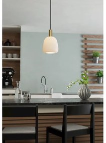Eglo 900305 - Luster na lanku MANZANARES 1xE27/40W/230V