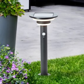 Brilliant - LED Solárna lampa so senzorom GARVINA LED/3W/3,7V 45 cm IP44 čierna