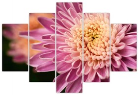 Detailný obraz kvetu (150x105 cm)