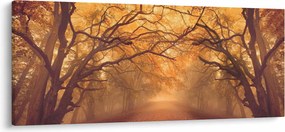 Obraz cesty v jesennej krajine (120x50 cm)