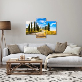 Obraz - Krajina (90x60 cm)