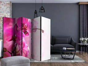 Paraván - Pink Orchid II [Room Dividers] Veľkosť: 225x172, Verzia: Obojstranný