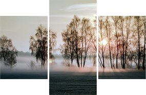 Obraz - Ranná sychravosť (90x60 cm)