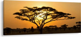 Obraz - Africká savana (120x50 cm)