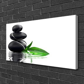 Obraz na plátne Kamene listy voda umenie 120x60 cm
