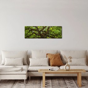 Obraz - Zelený strom (s hodinami) (90x30 cm)