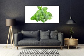 Obraz plexi Mäta rastlina príroda 120x60 cm