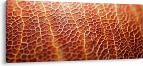Obraz - Detail textúry (120x50 cm)