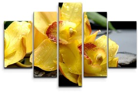 Sablio Obraz - 5-dílný Žltá Orchidey - 125x90 cm