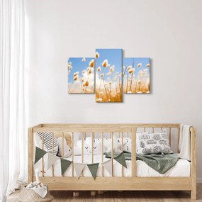 Obraz - Zlaté pole (90x60 cm)