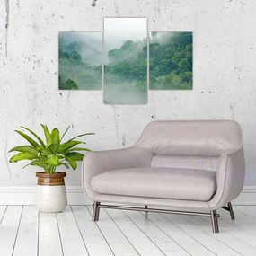 Obraz - Ranná hmla (90x60 cm)