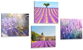 Set obrazov levanduľové bohatstvo