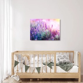 Sklenený obraz - Levanduľa vo trblietania slnka (70x50 cm)