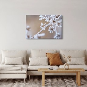 Obraz - Mráz (90x60 cm)
