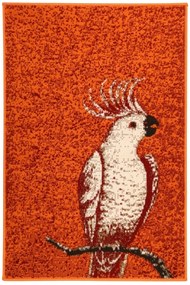 Alfa Carpets, TRHÁK: Kusový koberec Kakadu orange, 80x120, oranžová, detská izba