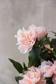 Umelá pivonka v krémovom kvetináči PEONY, výška 70 cm, ružová