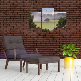 Obraz lúky so stromom (90x60 cm)
