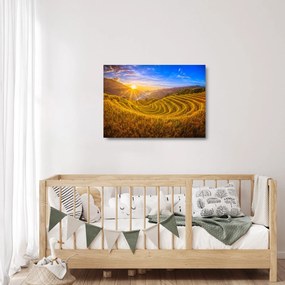 Sklenený obraz - Ryžové terasy vo Vietname (70x50 cm)