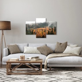 Obraz - Jesenný les (90x60 cm)