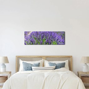 Obraz - levanduľa (s hodinami) (90x30 cm)