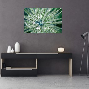 Obraz - Makro snímka kvetu (90x60 cm)