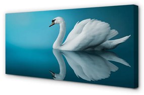 Obraz na plátne Swan vo vode 100x50 cm