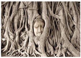 Artgeist Fototapeta - Buddha's Tree Veľkosť: 150x105, Verzia: Standard