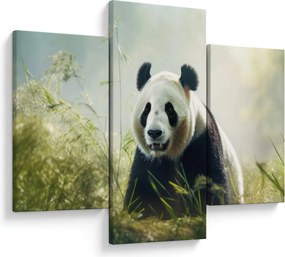 Obraz - Panda (90x60 cm)