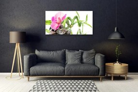 Obraz na akrylátovom skle Kvet rastlina príroda 100x50 cm